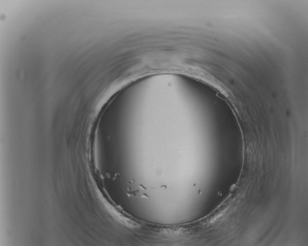 X0000068831523200605121328