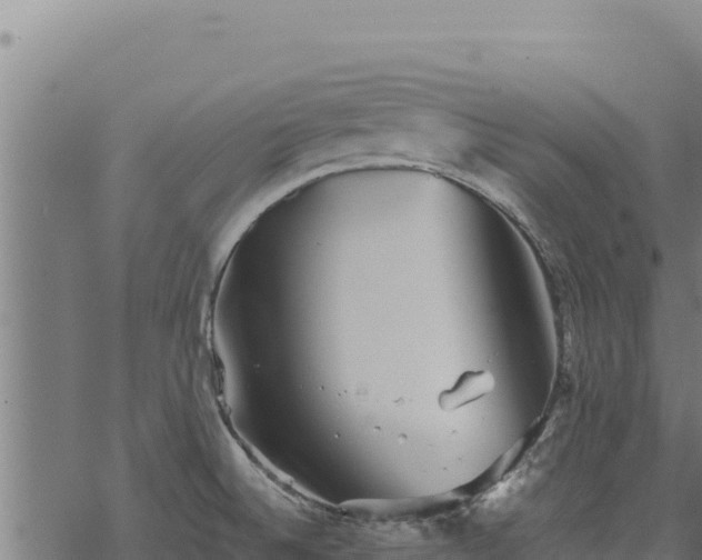 X0000068831524200605121328