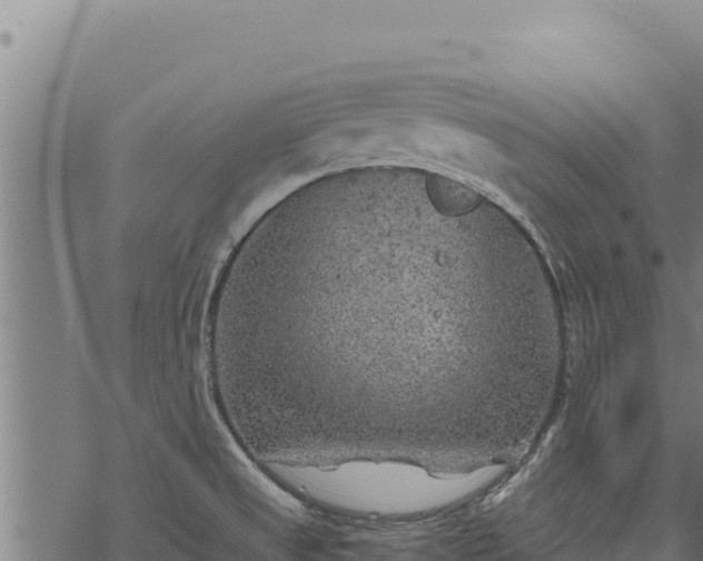 X0000068831525200605121328