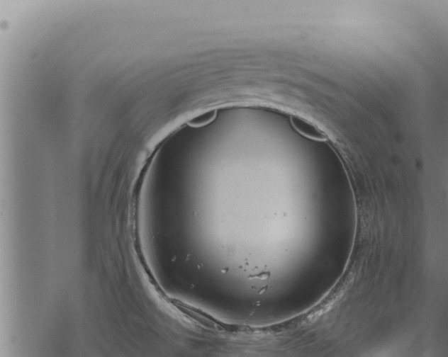 X0000068831526200605121328