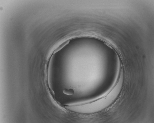 X0000068831528200605121328