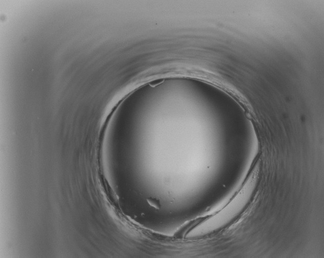 X0000068831530200605121328