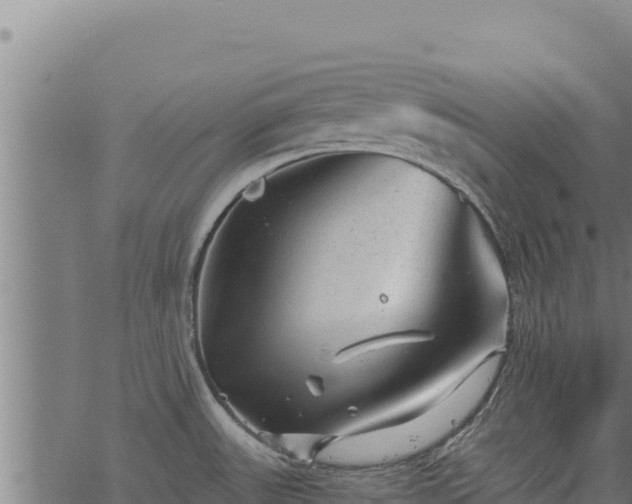 X0000068831531200605121328