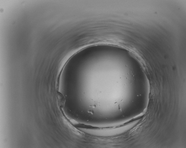 X0000068831532200605121328