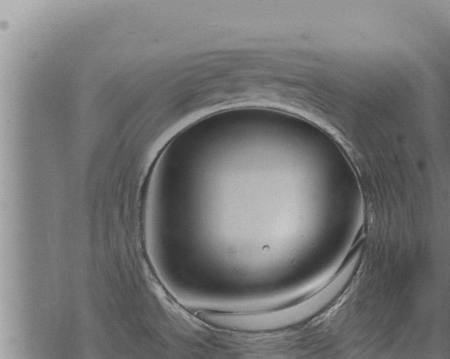 X0000068831534200605121328