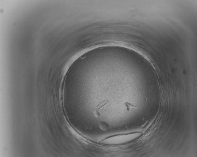 X0000068831535200605121328