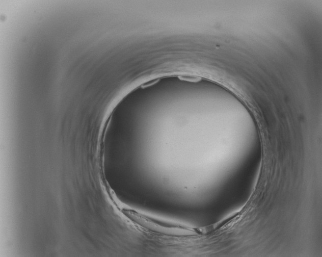 X0000068831536200605121328