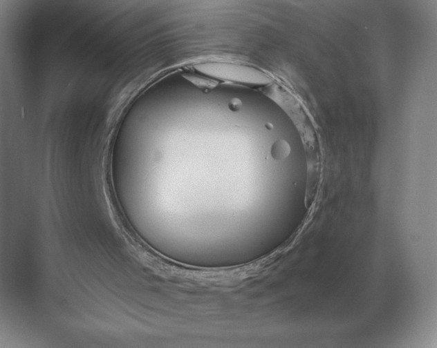 X0000068830001200605191911