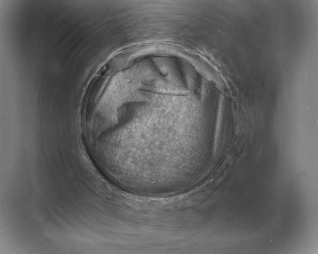 X0000068830002200605191911