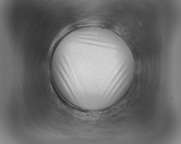 X0000068830004200605191911