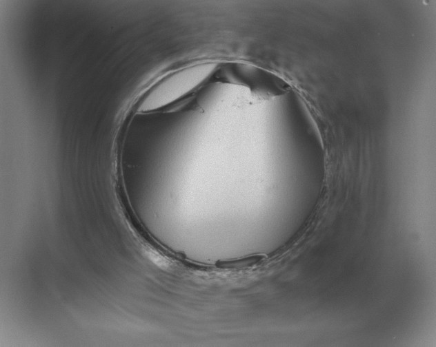 X0000068830005200605191911