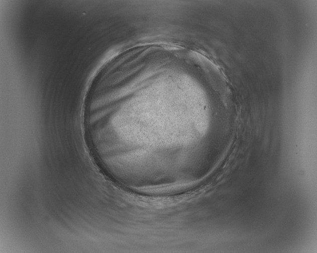 X0000068830006200605191911