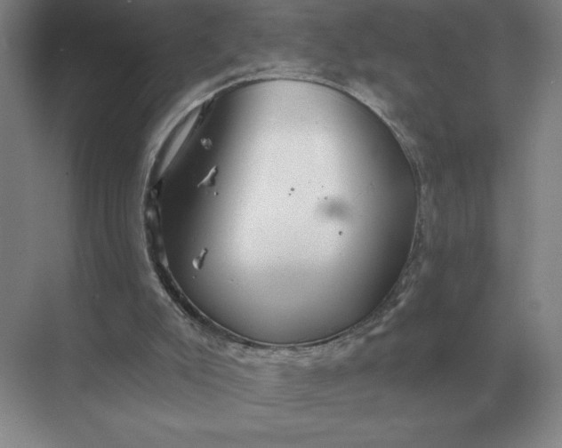 X0000068830007200605191911