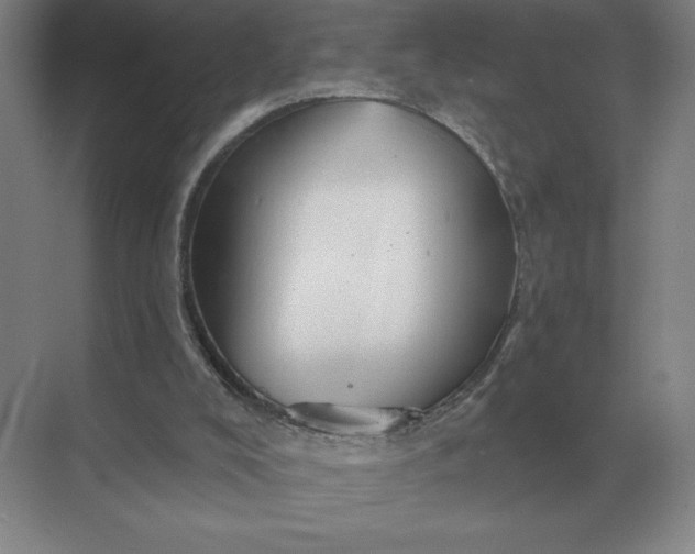 X0000068830008200605191911