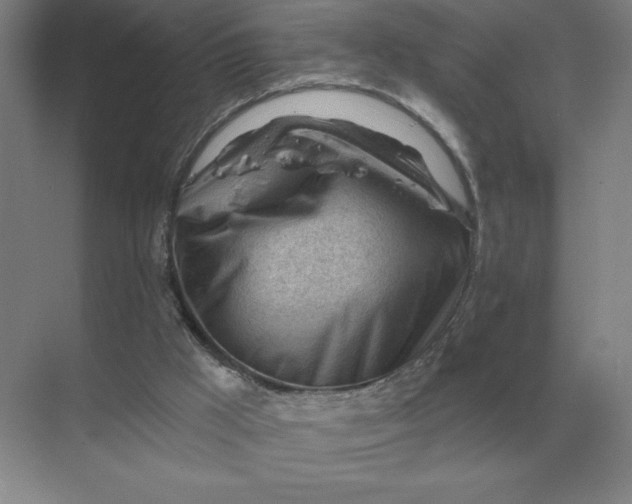 X0000068830009200605191911