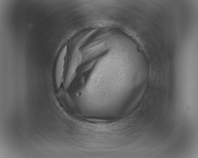 X0000068830010200605191911