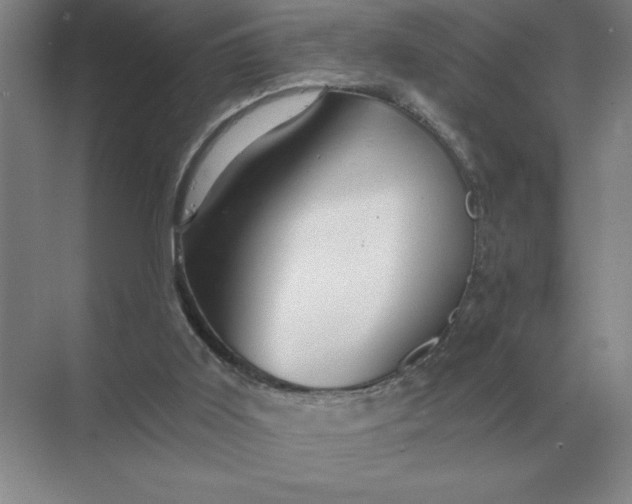 X0000068830011200605191911