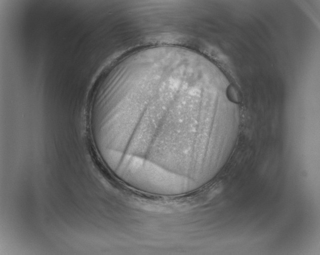 X0000068830012200605191911