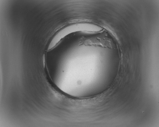 X0000068830013200605191911