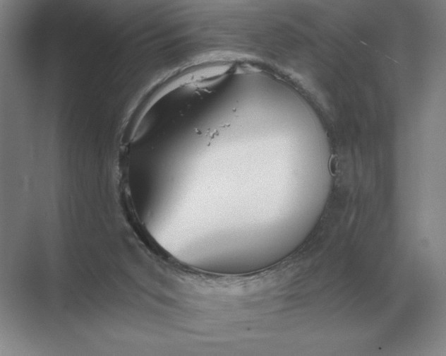 X0000068830015200605191911