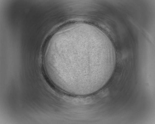 X0000068830016200605191911