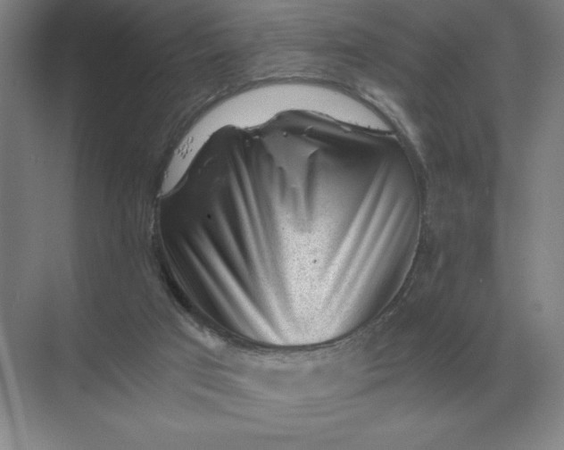 X0000068830017200605191911