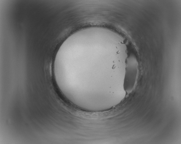 X0000068830019200605191911