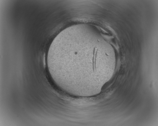 X0000068830020200605191911