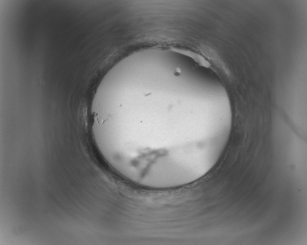 X0000068830021200605191910