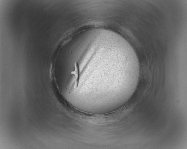 X0000068830024200605191910