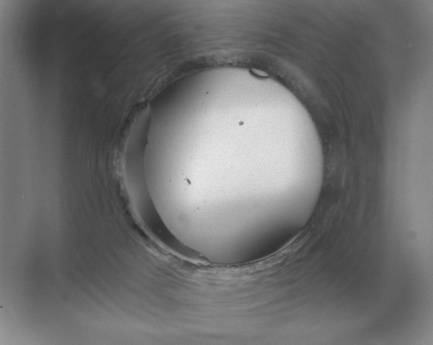 X0000068830025200605191910