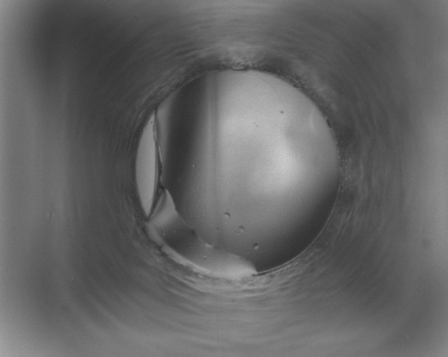 X0000068830027200605191910