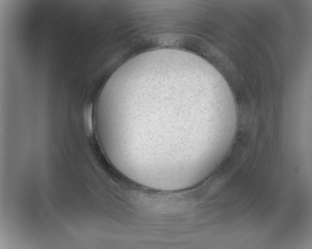 X0000068830028200605191910