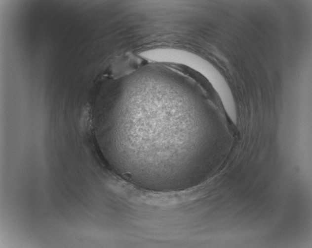 X0000068830029200605191910