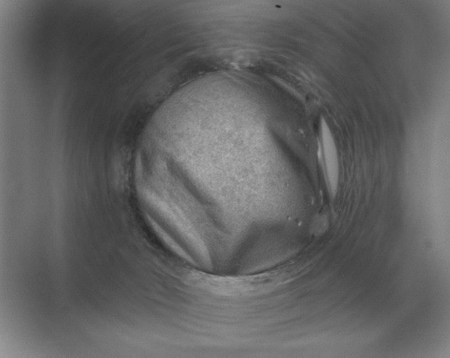 X0000068830030200605191910