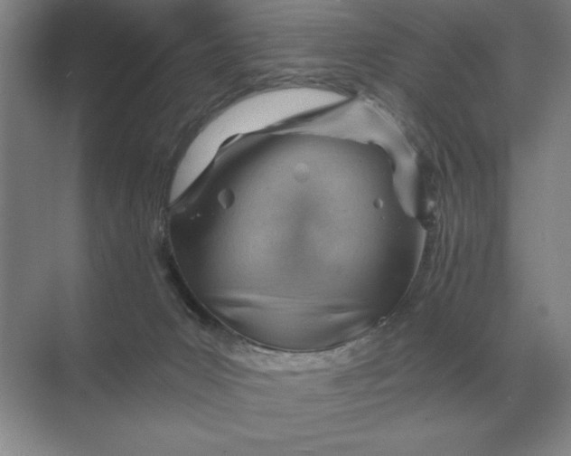 X0000068830031200605191910