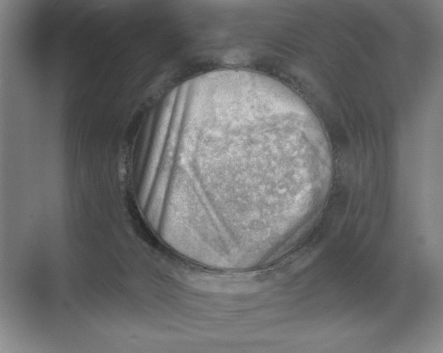 X0000068830032200605191910