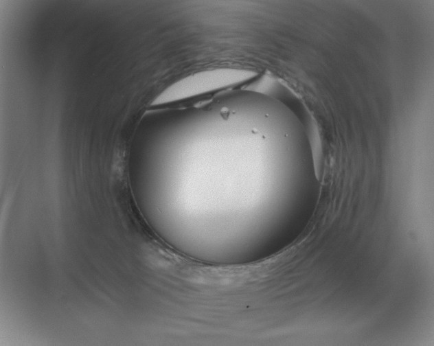 X0000068830033200605191910