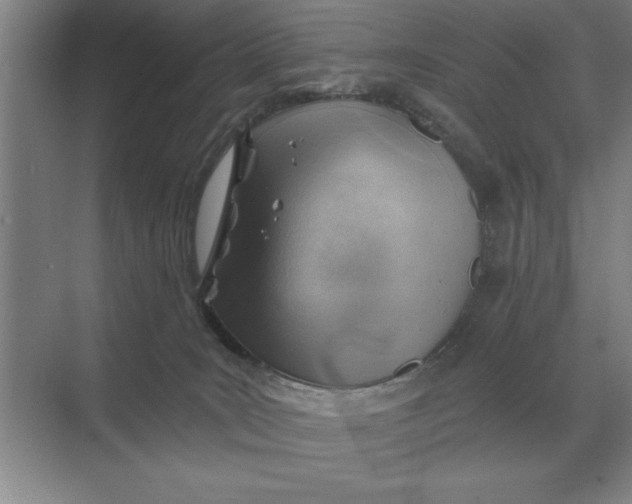 X0000068830035200605191910