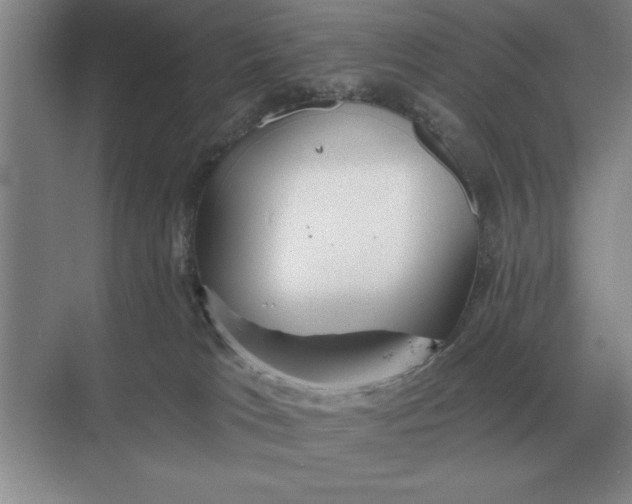 X0000068830037200605191910