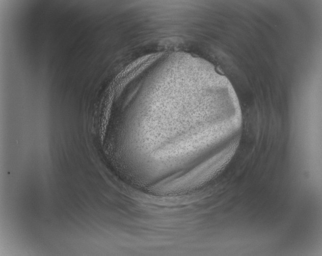 X0000068830038200605191910