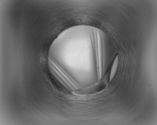 X0000068830040200605191910