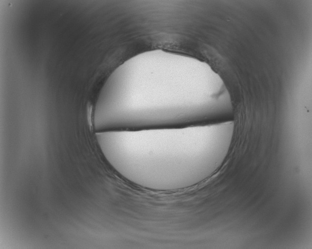 X0000068830041200605191910