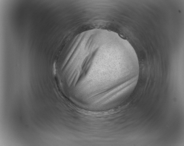 X0000068830042200605191910