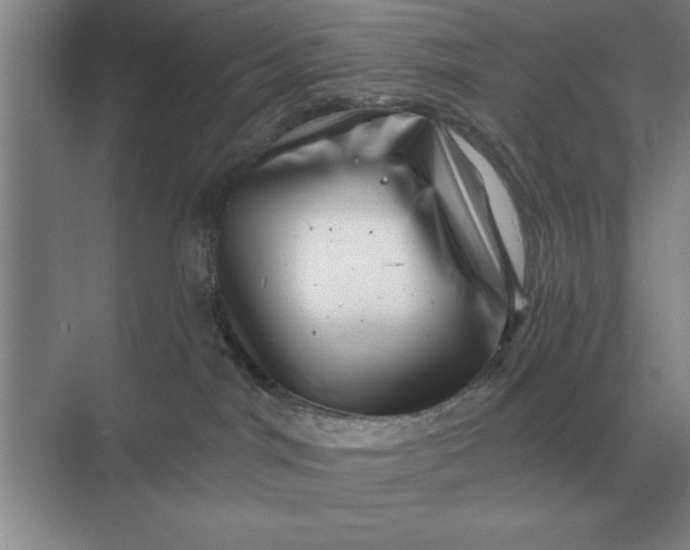 X0000068830044200605191910