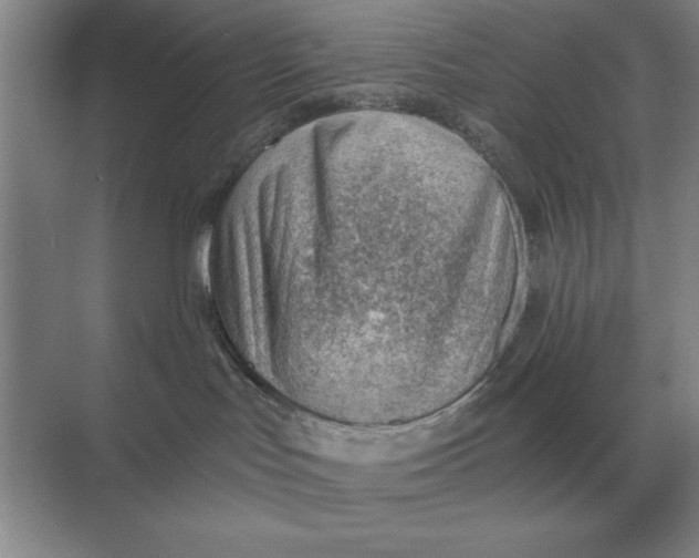 X0000068830047200605191910