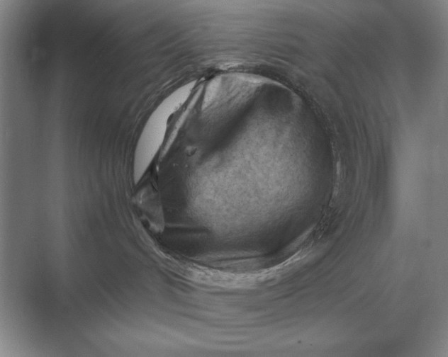 X0000068830048200605191910