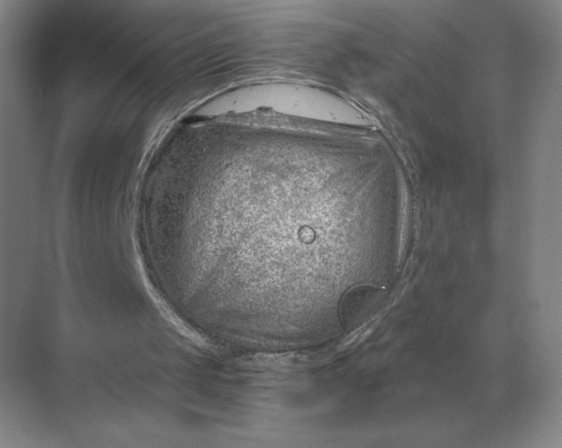 X0000068830049200605191909