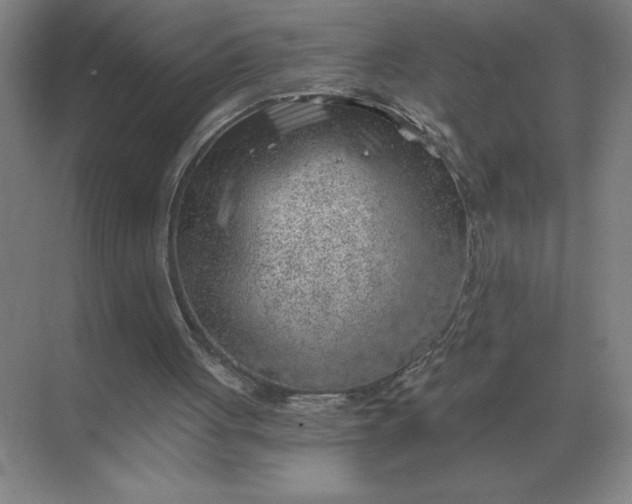 X0000068830051200605191909