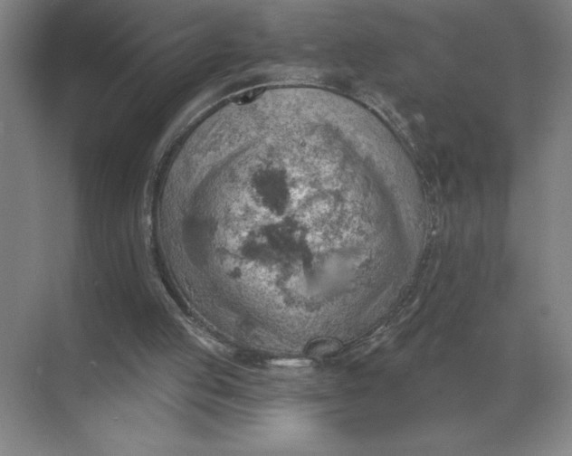 X0000068830053200605191909